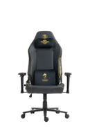 כיסא עבודה וגיימינג ALPINE דגם ביטקוין- ALP-BIT- משלוח חינם