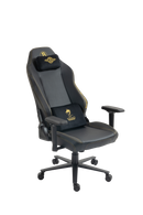 כיסא עבודה וגיימינג ALPINE דגם ביטקוין- ALP-BIT- משלוח חינם