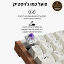 מקלדת Keychron - K2 HE RGB