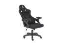 כיסא גיימינג דראגון 2025 ACE PRO - דמוי עור (PU) צבע שחור ולבן  - משלוח חינם